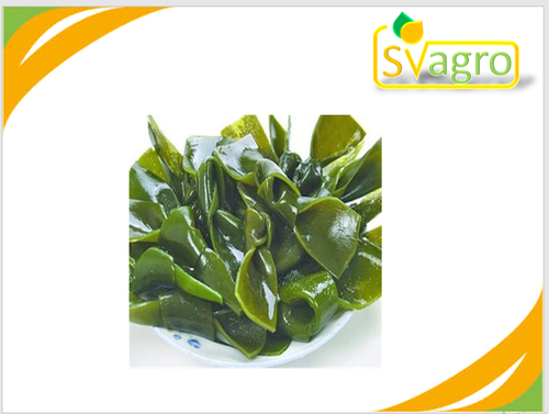 Kelp Extract Grade: Na
