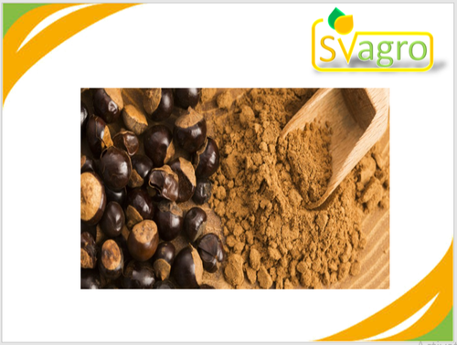 Gaurana Extract Grade: Na