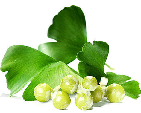 Ginkgo Leaves Extract Grade: Na