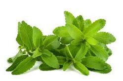 Stevia Extract 90%-95% Grade: Na