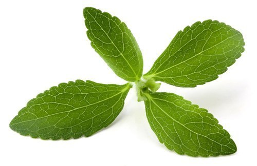 Stevia Extract 90%-95% Grade: Na