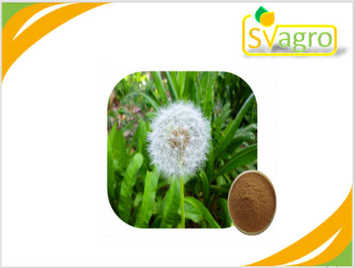 Dandelion Extract Grade: Na