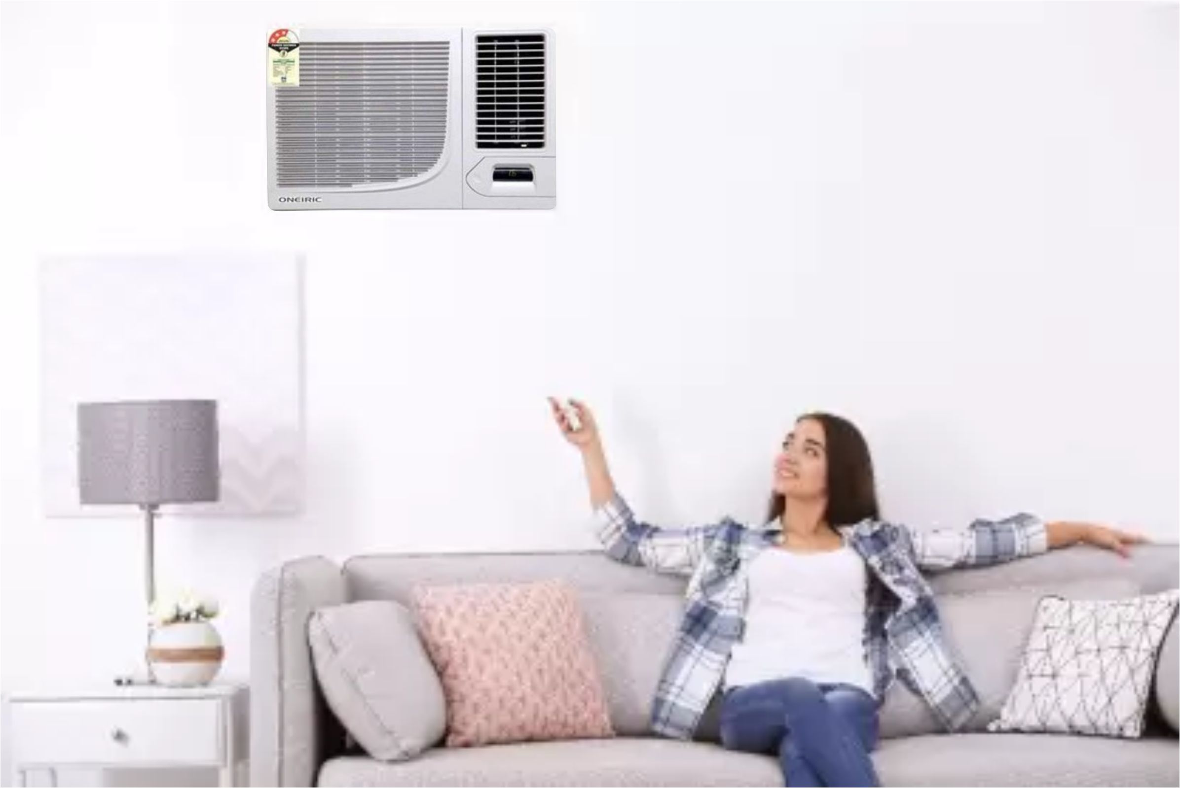 Window Air Conditioner Capacity: 1.0 Ton Ton/day