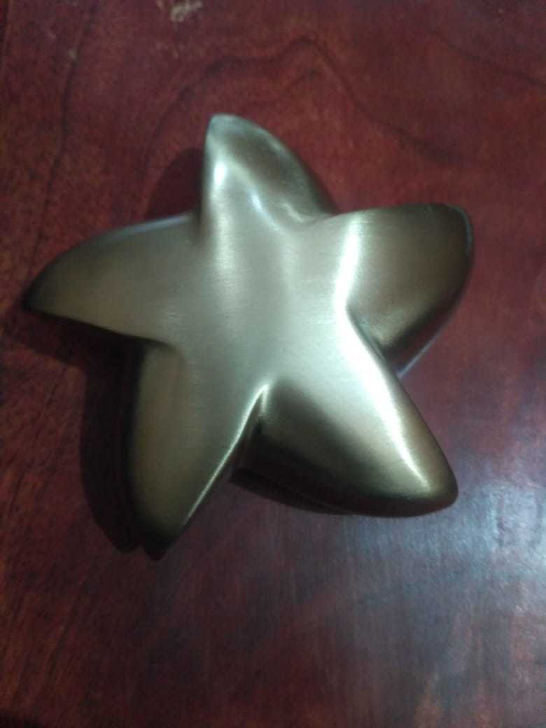 Trai Angle Shaped Urn For Pet Ashes Funeral Supplies