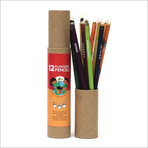 12 पीस प्लांटेबल सीड पेंसिल बॉक्स