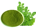 Dried Freeze-dried Moringa