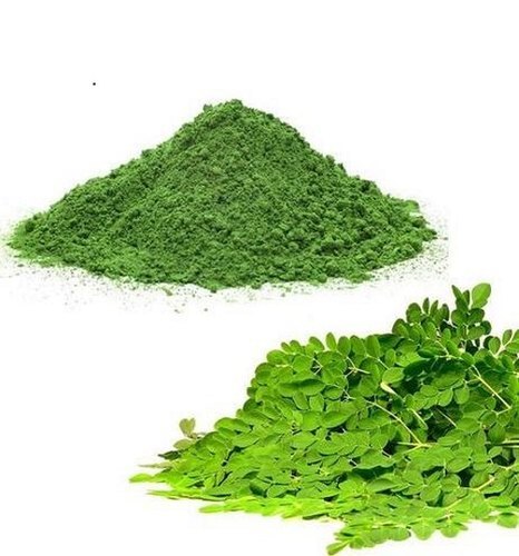 Dried Freeze-dried Moringa