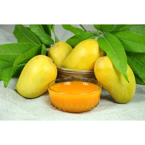 Mango Pulp - 500g Glass Jar | Puree, Orange Color, Refrigerate for Freshness
