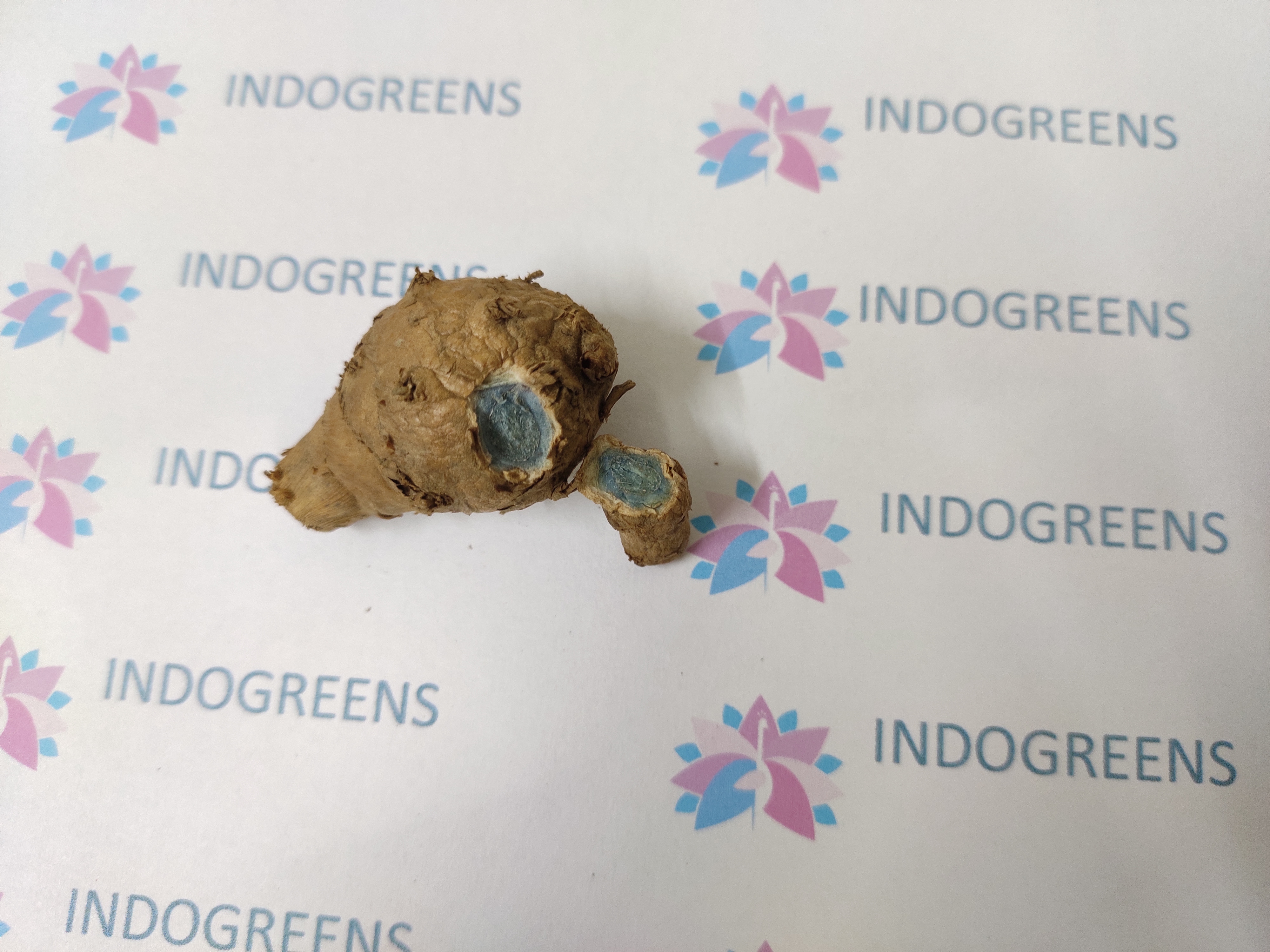 Black Turmeric Rhizome - Fresh Herbs, 100% Natural Ingredients | For Adults, Store In Cool Place, Dosage: 1 Rhizome Daily