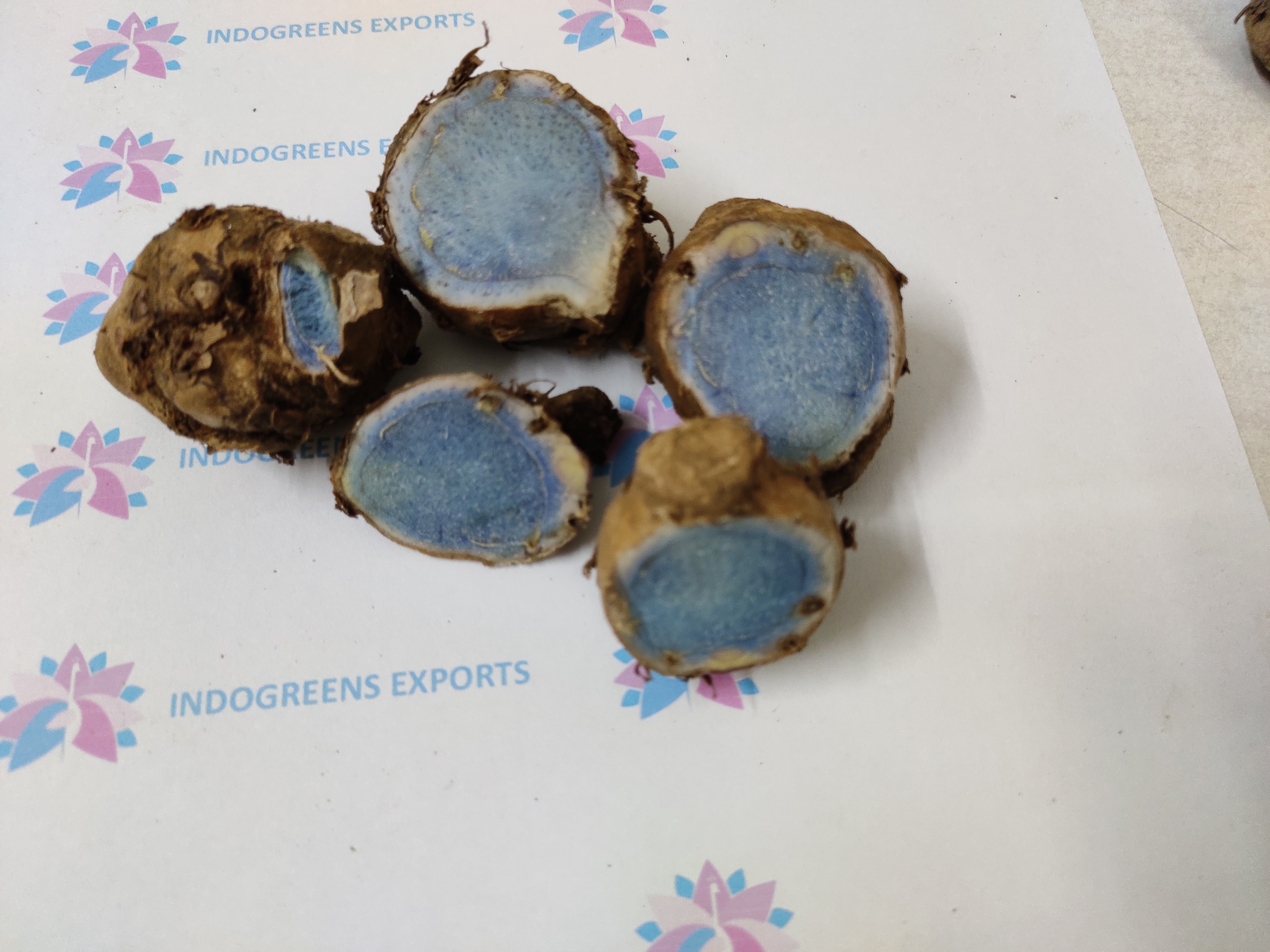 Black Turmeric Rhizome - Fresh Herbs, 100% Natural Ingredients | For Adults, Store In Cool Place, Dosage: 1 Rhizome Daily