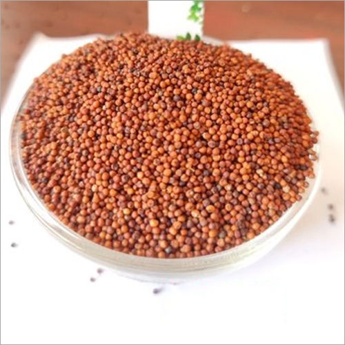 Natural Raggi Seed