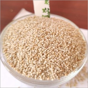 ऑफ व्हाइट बार्नयार्ड मिलेट