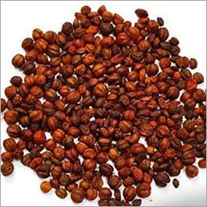 ब्राउन 4 किलो मालकांगनी