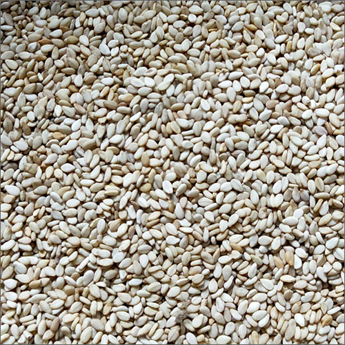 Organic Fresh Sesame Seeds