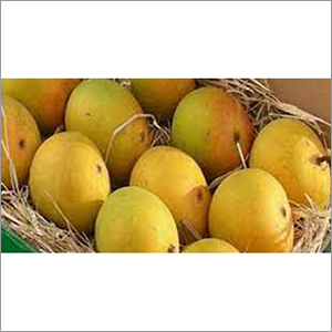 Yellow Fresh Mango