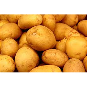Fresh Potato