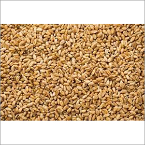 Wheat Seeds Grade: A