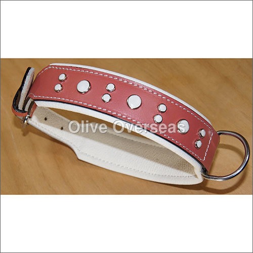 टैन फैंसी डॉग कॉलर