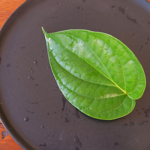 Betel Leaves - Medium Heart-Shaped Green Smooth Leaves | Bulk Packaging, 7 Days Shelf Life