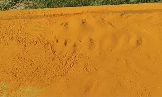 Turmeric Yaingang / Lakadong / Tangian
