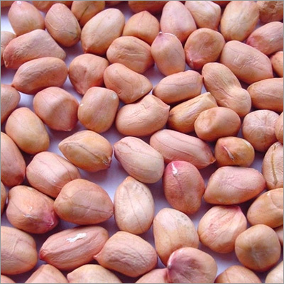 मूँगफली के दाने