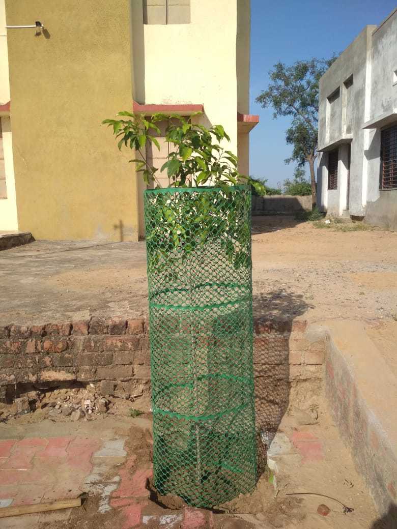 Tree Protection Guard - 5 Feet Height, Green Hdpe Mesh | Durable, Uv Stabilized, Easy To Install, Attractive Design