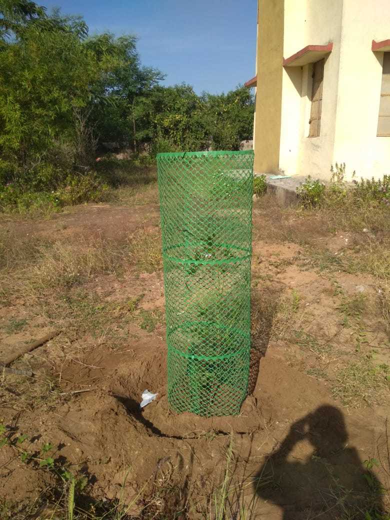 Tree Protection Guard - 5 Feet Height, Green Hdpe Mesh | Durable, Uv Stabilized, Easy To Install, Attractive Design