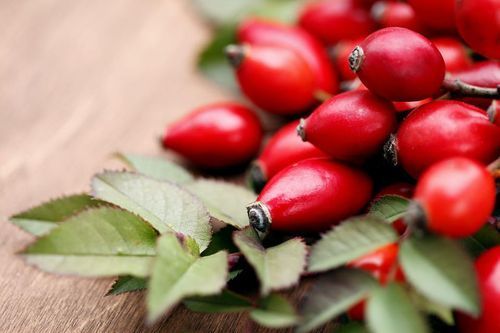 Rose Hip Extract Grade: Na