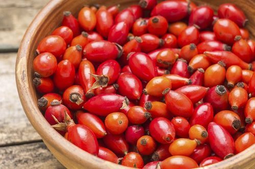 Rose Hip Extract Grade: Na