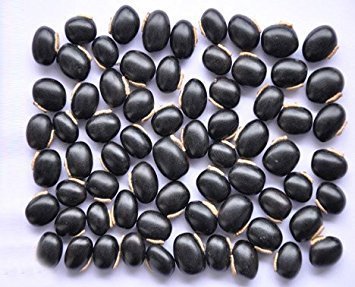 Mucuna Pruriens Extract - Premium Quality Herbal Powder | Rich In L-dopa, Supports Muscle Growth, Reduces Cholesterol And Blood Sugar Levels, Ideal For Men And Women