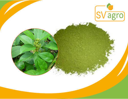 जिमनेमा एक्सट्रैक्ट पाउडर ग्रेड: ना