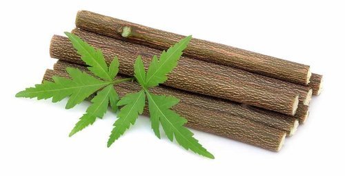 20:1 Neem Extract