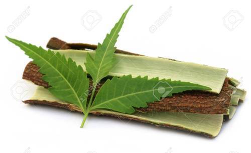 20:1 Neem Extract
