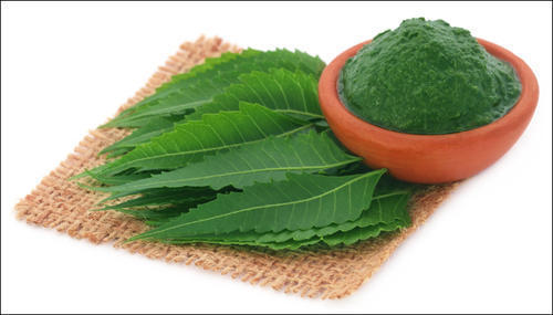 20:1 Neem Extract