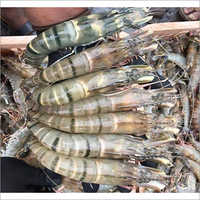 वन्नामेई बागडा चिंगरी