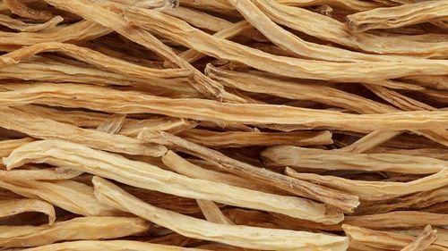 Shatawari Extract Grade: Na