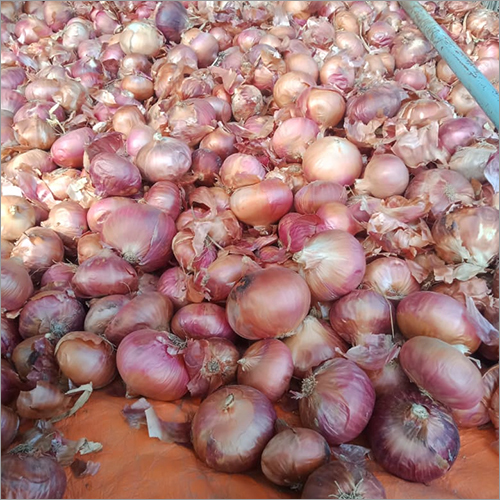 Fresh Onion