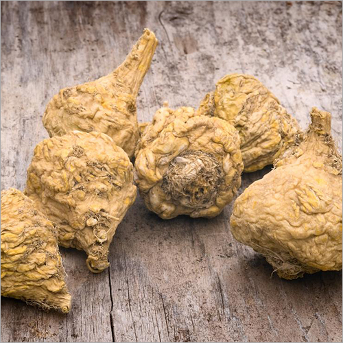 Maca Root Extract - Organic Beige Powder | GMP Certified, Bulk Packaging, 2-Year Shelf Life