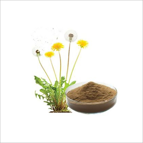 डंडेलियन एक्सट्रैक्ट