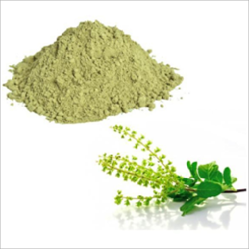 Tulsi Extract - Green Powder Derived from Tulsi Leaves | Solvent Extracted, Bulk Packaging, 2 Years Shelf Life, Cool and Dry Storage