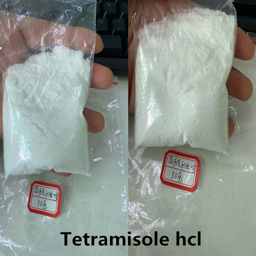 99% Purity Tetramisol Hcl Tetramisole Powder Usp36 Bp Ep