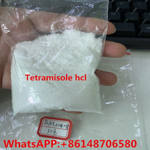 99% Purity Tetramisol Hcl Tetramisole Powder Usp36 Bp Ep