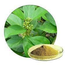 गुडमार ड्राई एक्सट्रेक्ट शेल्फ लाइफ: 12 महीने