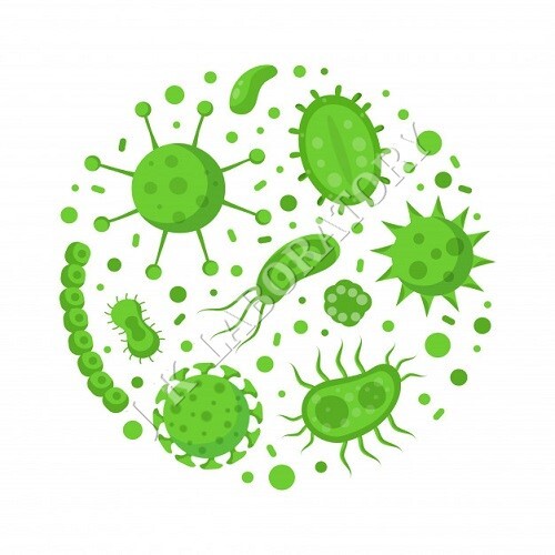 माइक्रोबायोलॉजिकल टेस्टिंग लेबोरेटरी