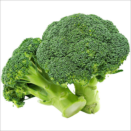 Fresh Broccoli