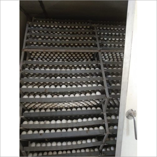 Rust Resistance 34000 Duck Egg Incubator
