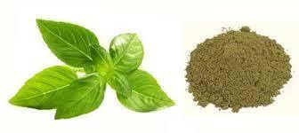Tulsi Dry Extract Shelf Life: 12 Months