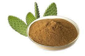 Caralluma Fimbriata Extract Shelf Life: 12 Months