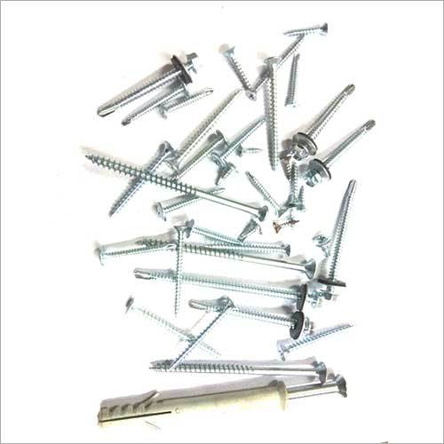 SS Screw
