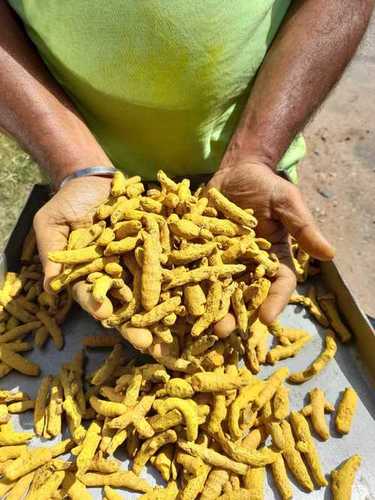 Dry Ginger